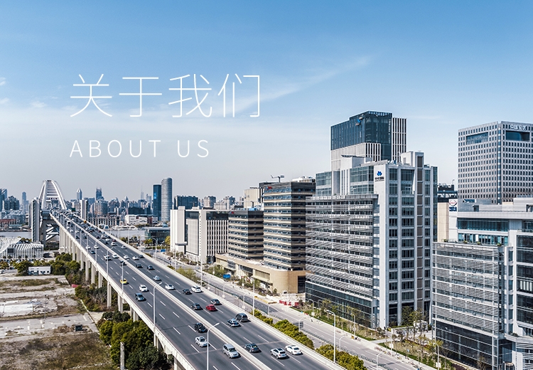 关于AG贵宾会 